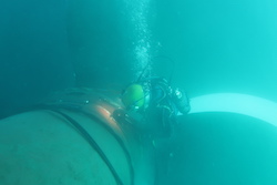 Hydrex SRM 2020 interim